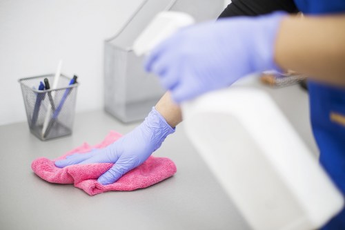 Professional cleaners in SW19 providing careful home cleaning