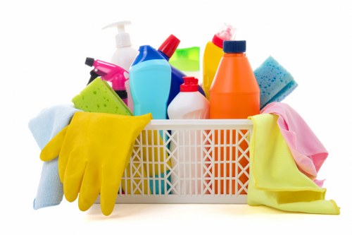Professional cleaner resolving a service issue with records