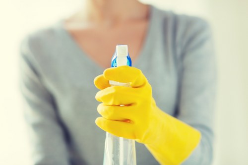 Professional cleaner in Sw19 for local homes