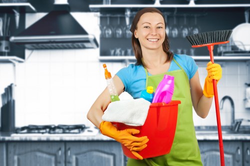 Cleaning supplies and tools used by cleaners in SW19