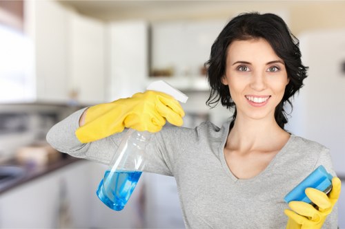 Domestic cleaning service in SW19 for busy households