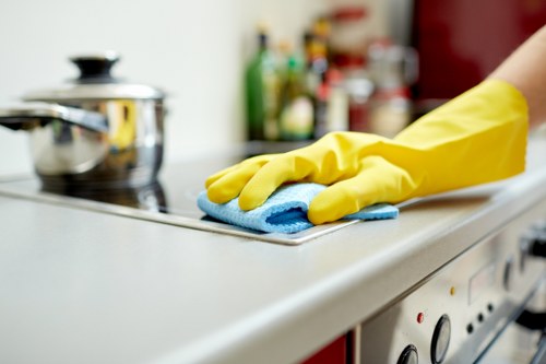 Professional cleaners working safely and responsibly