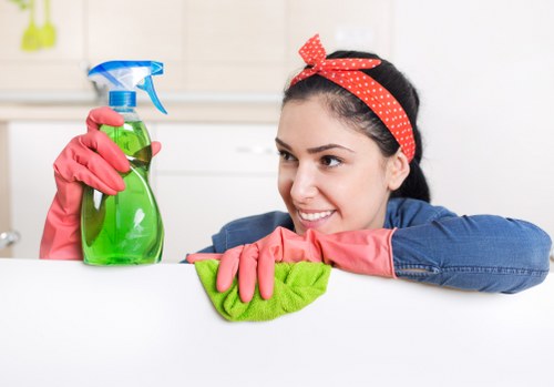 Regular domestic cleaning in SW19 to maintain a spotless home