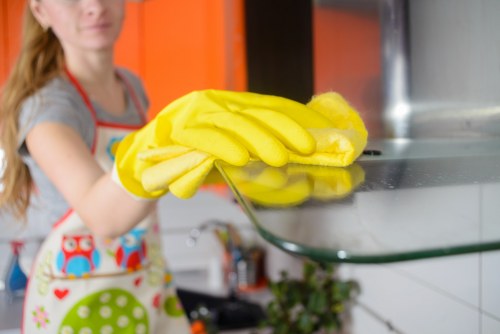 Flexible home cleaning support for SW19 households