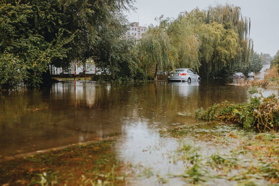 A street in Colliers Wood showing buildings with multi-colored facades, including pink, yellow, beige, and green, with red-tiled roofs. The area is heavily flooded with water covering the street surfa